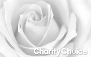 Charity Choice Gift Card