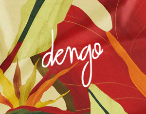 Dengo Chocolates Gift Card